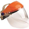 STRIKER BROWGUARD WITH ECONOMY VISOR CLEAR LENS