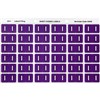 AVERY 43309 LATERAL FILE LABEL SIDE TAB COLOUR CODE I 25 X 38MM PURPLE PACK 180