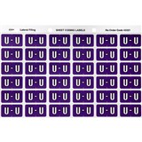 AVERY 43321 LATERAL FILE LABEL SIDE TAB COLOUR CODE U 25 X 38MM PURPLE PACK 180