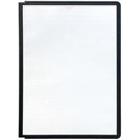 Visual Display Systems